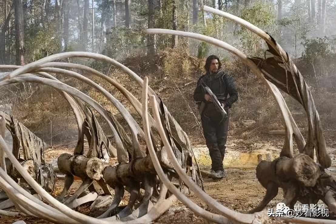 三月份值得去看的电影,三月你不可错过的电影