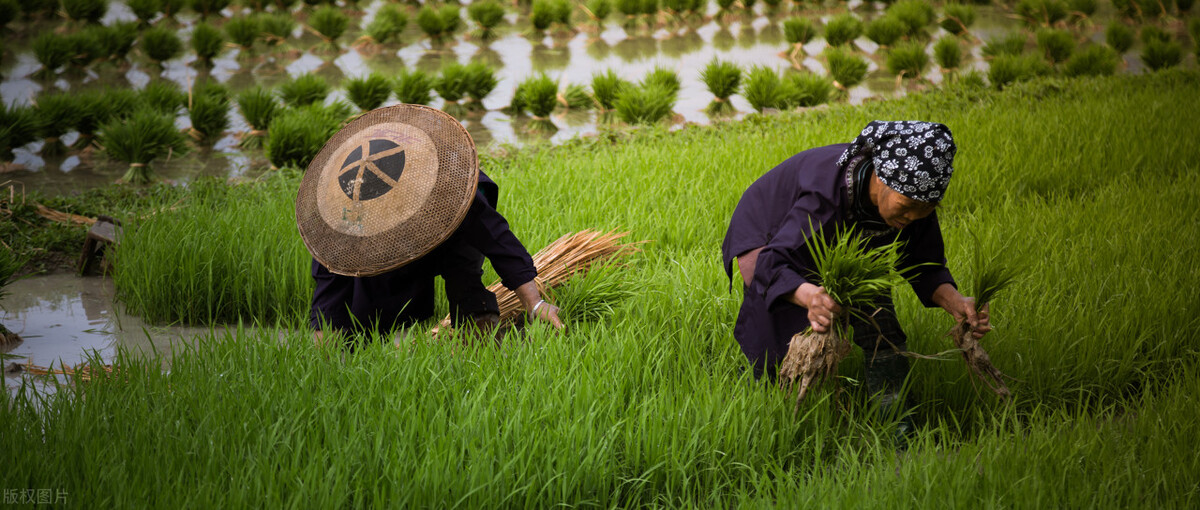 现在的年轻人都越来越矫情,为什么大多数人都受不了矫情