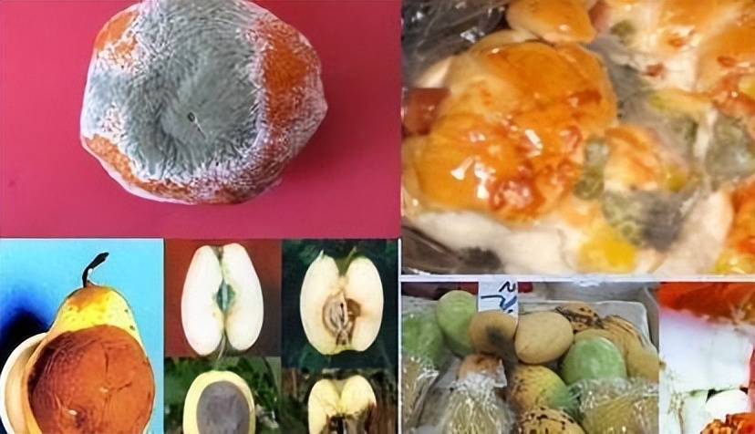 纤维素基水凝胶,纤维素水凝胶