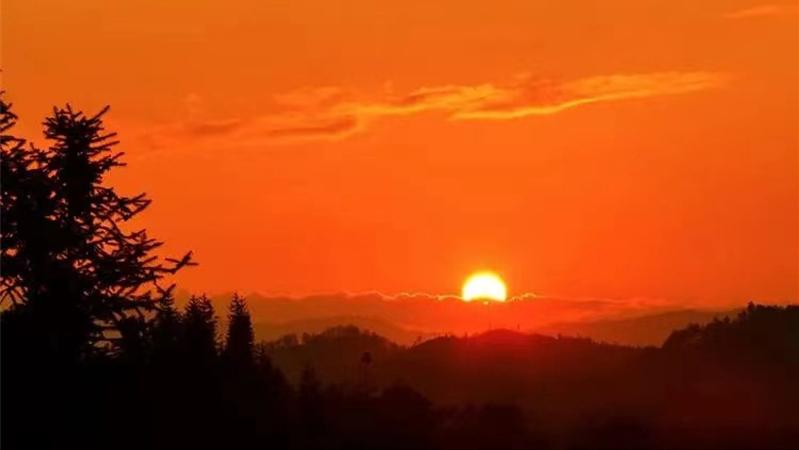 1952年岳飞后人落魄成孔乙己，写信求助中央，毛主席如何批示的？