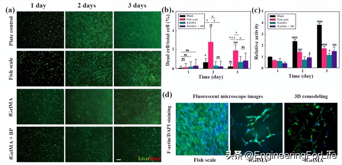 干细胞治疗脊柱,干细胞疗法真的能抗衰老吗