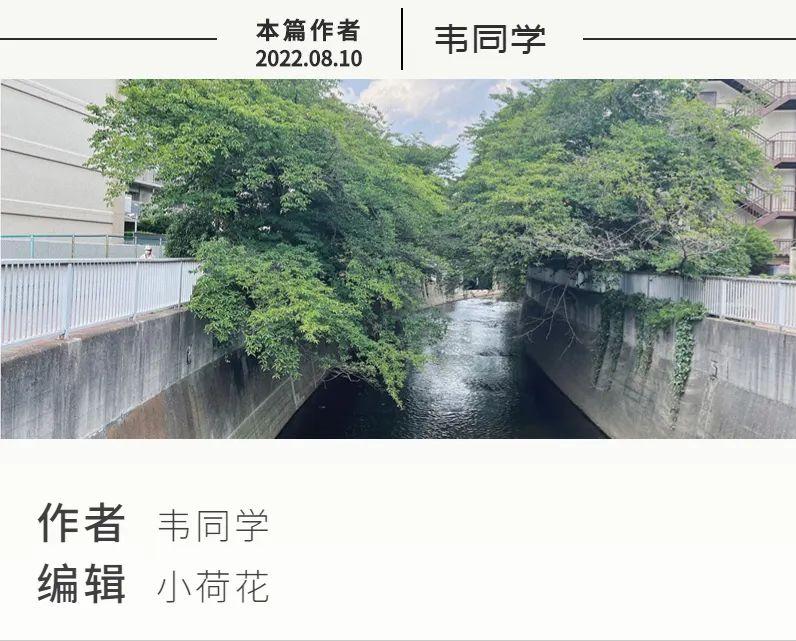 家具日常用品,到日本买什么家居用品