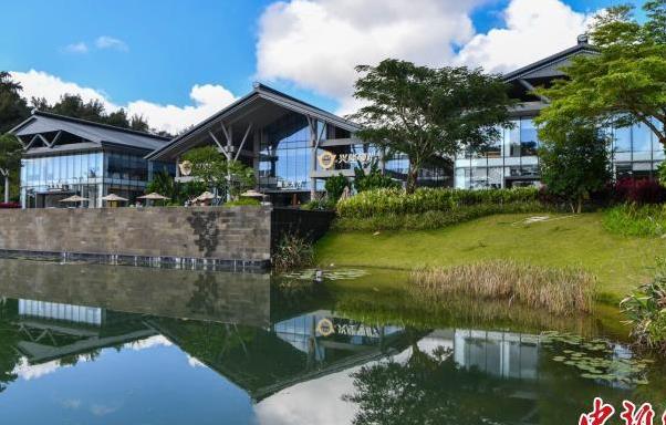 江山如画丨海南兴隆：浓浓咖啡香深深侨乡情