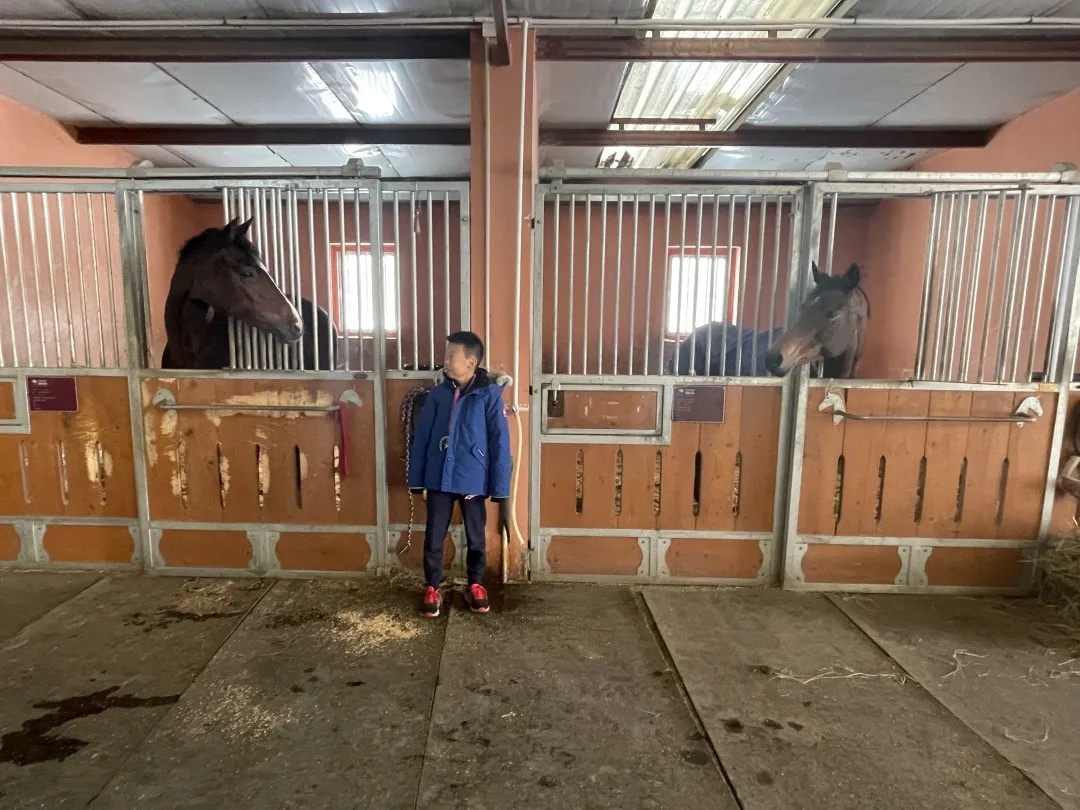 ckur马术比赛,ckur国际马术俱乐部