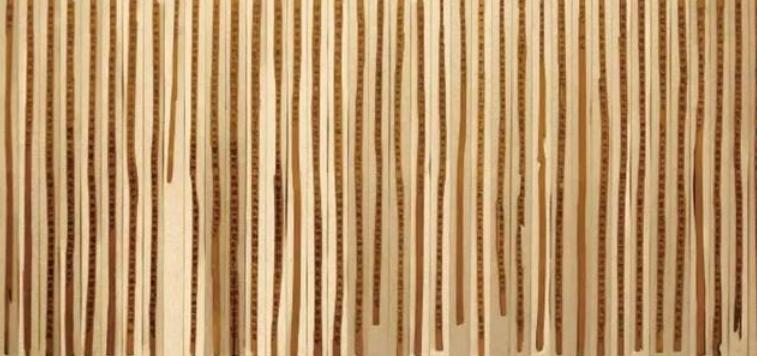 被坑害的消费者,不明真相的消费者一不小心就踩坑