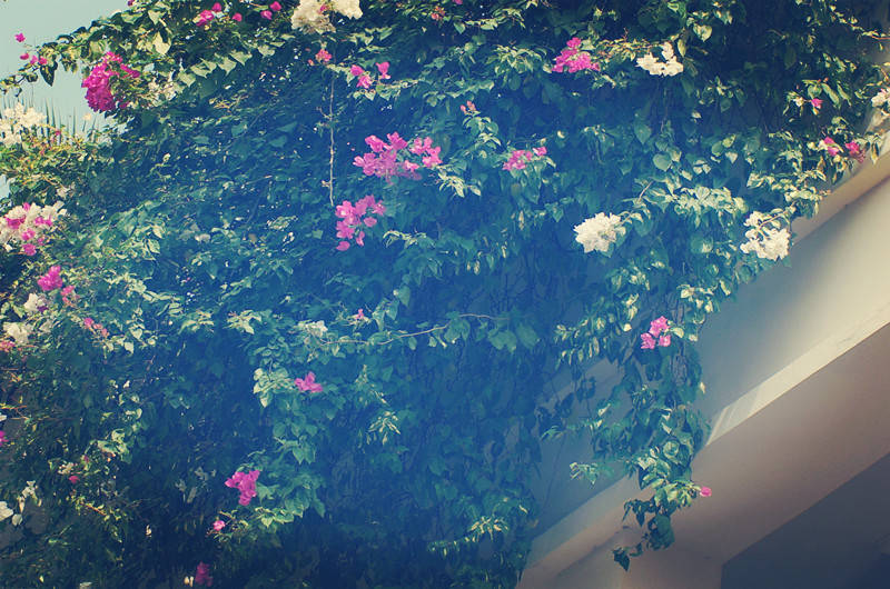 高中三年英语重点单词必背,2024届高中必背英语词汇3500词