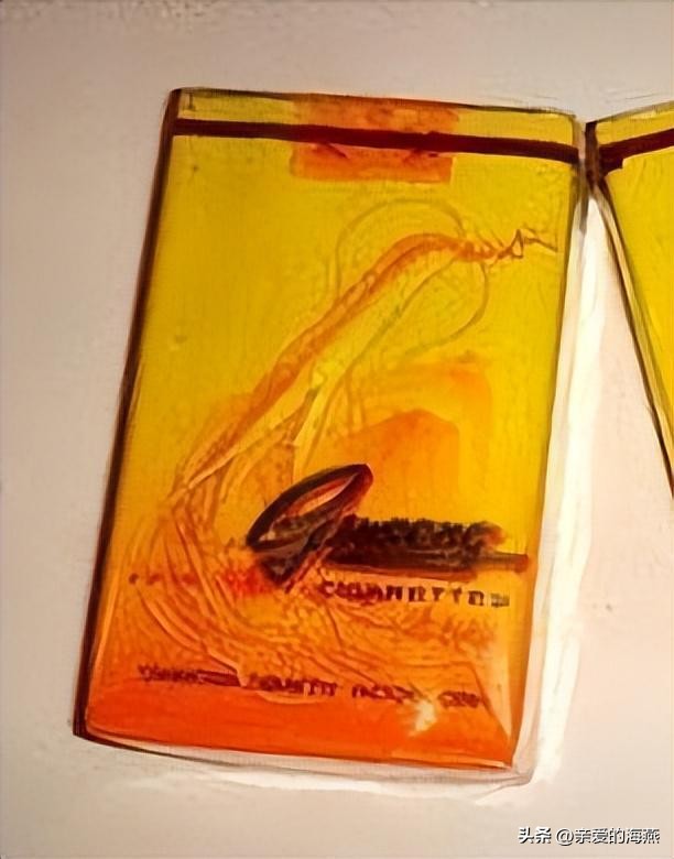 我国绝版香烟见过一种说明你老了,中国绝版老烟草