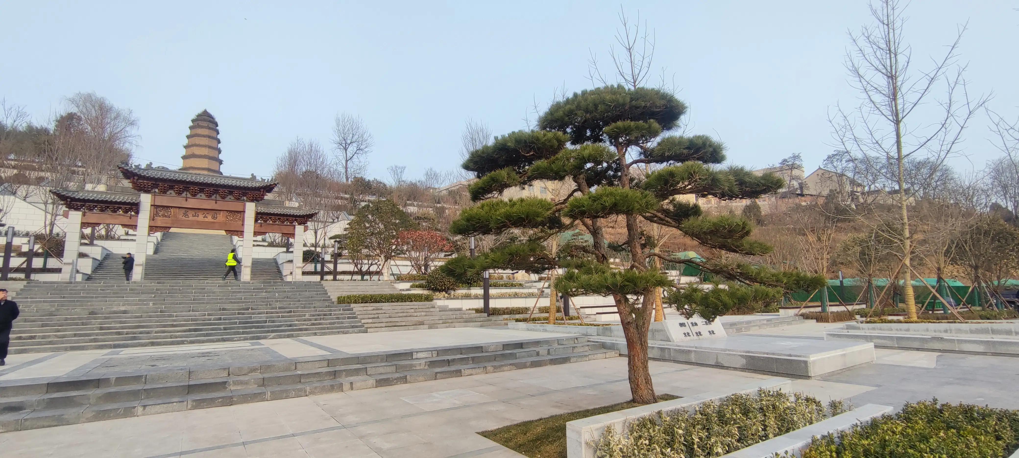 龙山公园攻略,龙山公园一日游