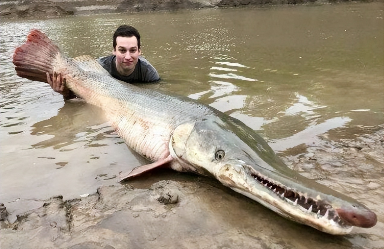 小到钻丁丁，大到吞活人，这片贝爷看了都怕