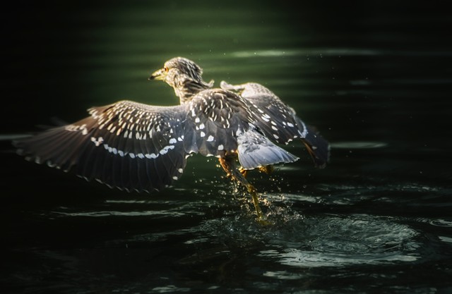 勇敢的去面对才是成功的开始,熬过所有的寂寞与无助