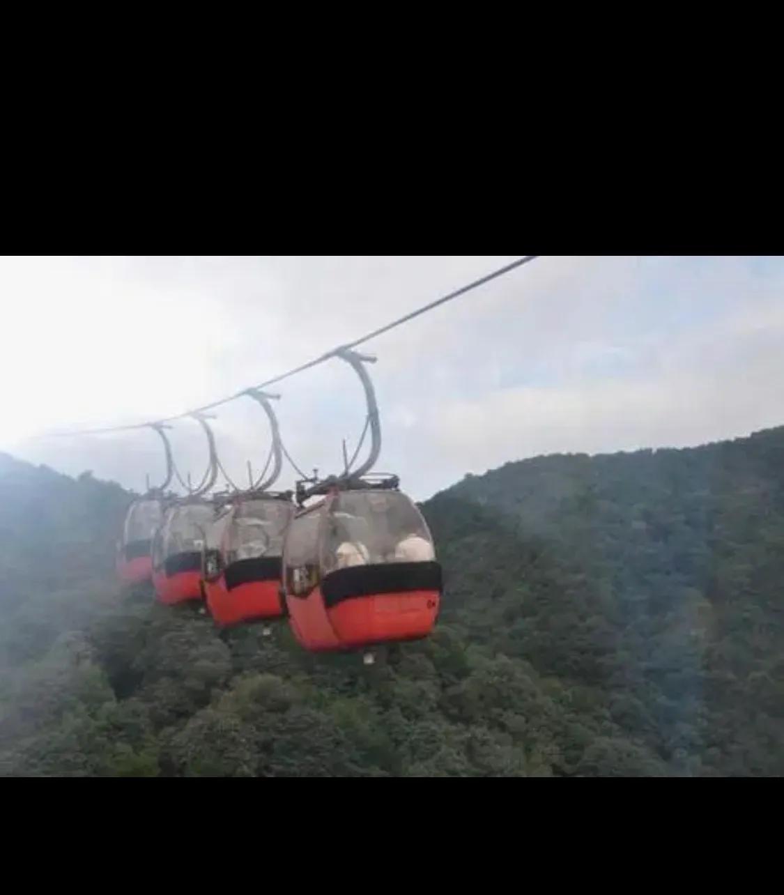 疫情稳定了，杭州探秘，和宫崎骏的“猫巴士”来了个不期而遇