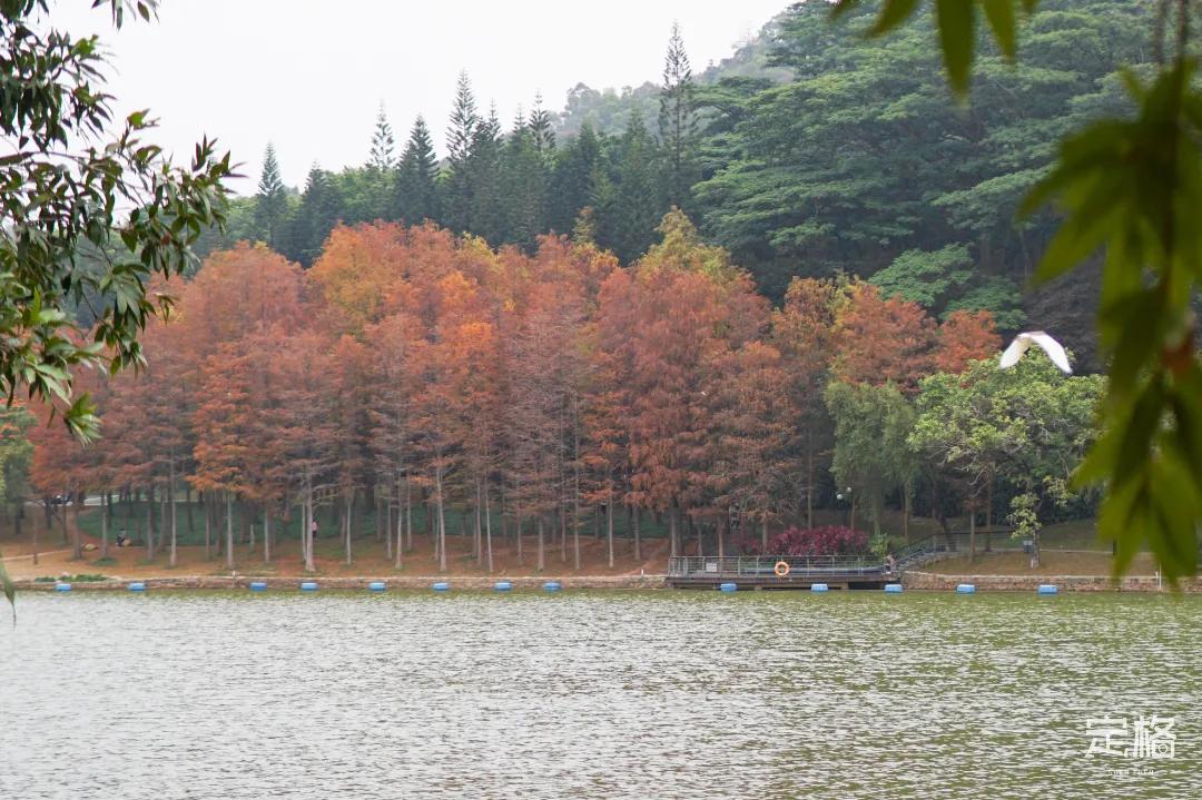 深圳最值得爬的景点,深圳十大最值得爬的山