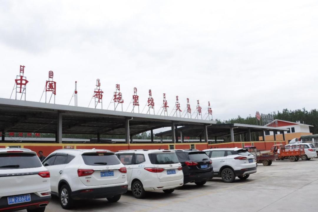 东西部协作助力乡村振兴,东西部地区协同发展项目