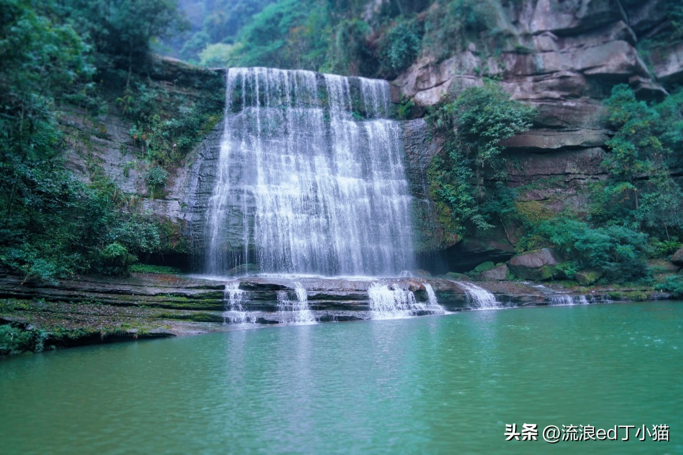 舌尖上的中国泸州古蔺椒麻鸡,古蔺麻辣鸡是哪里的特色小吃