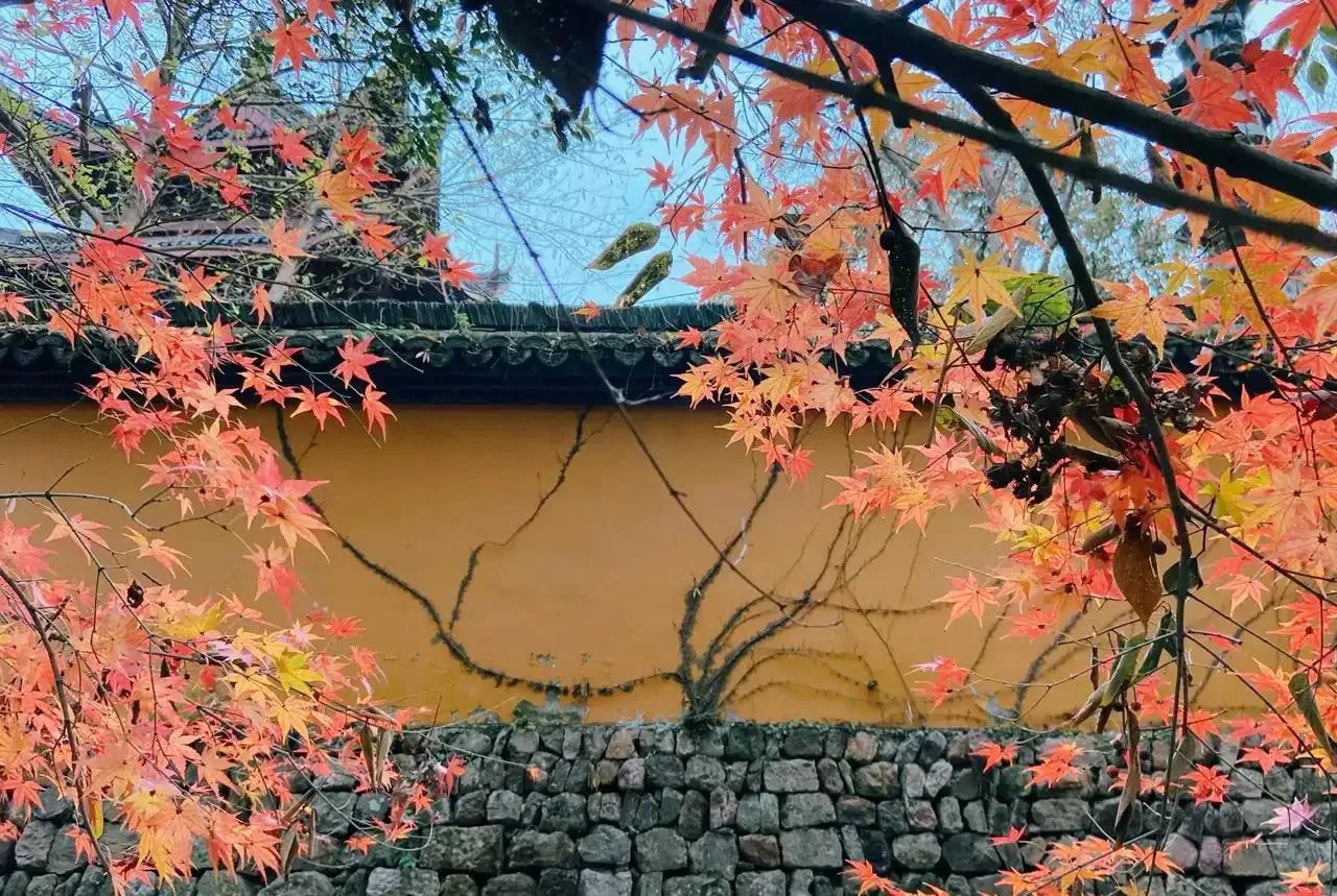 杭州周边赏秋好去处,杭州赏秋最佳攻略