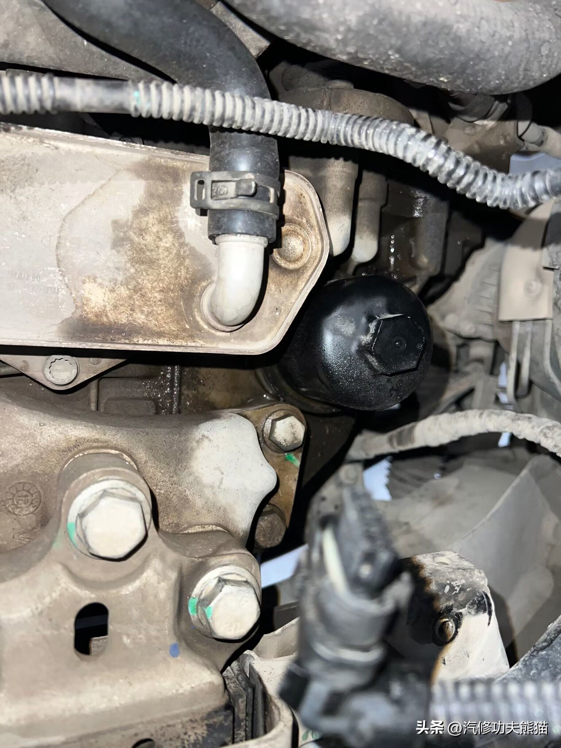 大众迈腾发动机漏油漏水吗,迈腾b72.0t发动机侧面漏油