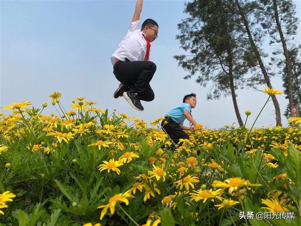 红领巾讲解员寻访红色足迹,红领巾寻访活动我是红领巾讲解员