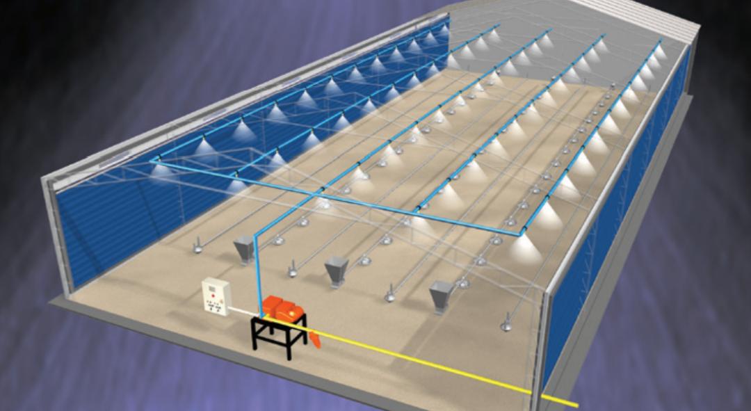 鸡中暑最佳治疗方法,鸡中暑了有些什么方法降暑的
