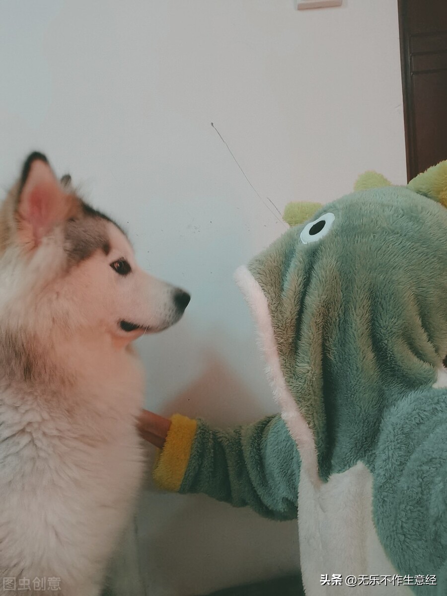 疫情阶段做什么副业赚钱,疫情之后赚钱工作怎么做