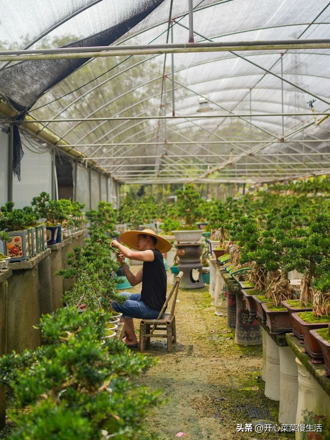 广东普宁有个万花园，由68座小花园组成，编织了农民美丽之梦