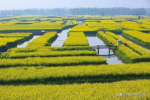 江苏的教育发达吗,江苏教育有多强大