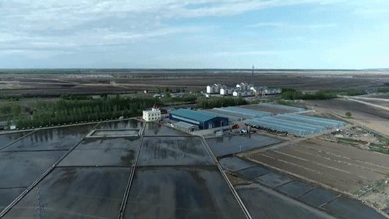 沿着总书记的足迹丨历“玖”弥新“成”就好米