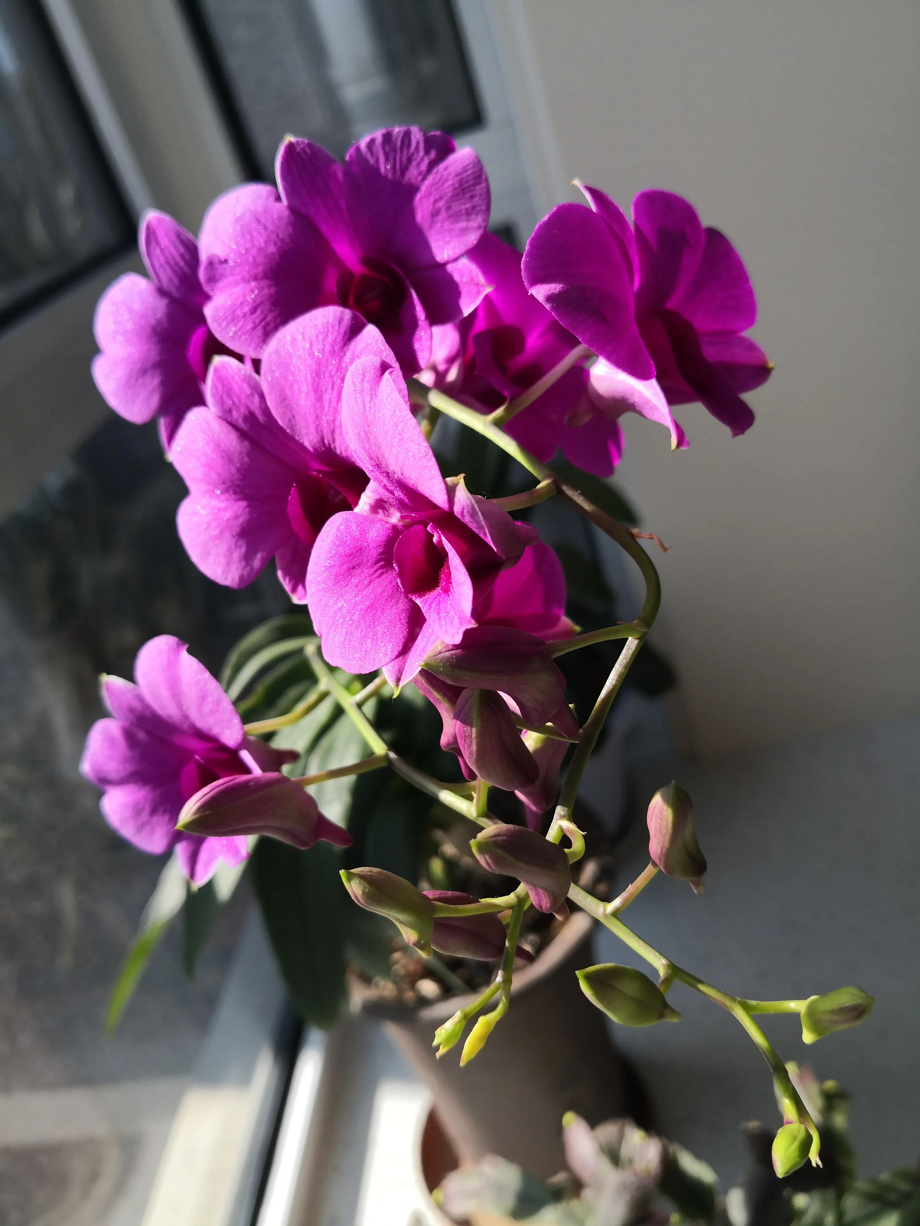 中国足球1960,中国足球60年代守门员