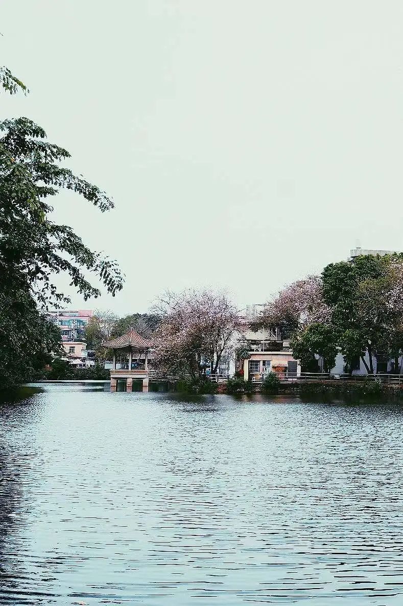 广州最值得去的古镇,适合周末打卡的广州绝美古镇