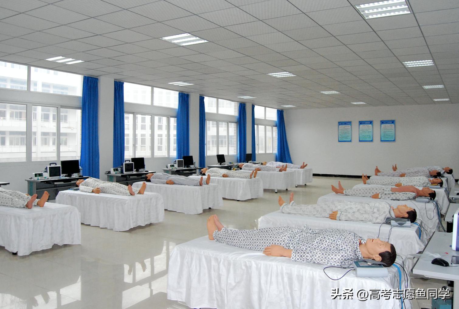 双高计划的医学专科,浙江双高专科院校医学