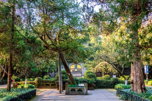 乌巢禅师和灵吉菩萨都是吴承恩的恩师，他们分别是葛木、王凤灵