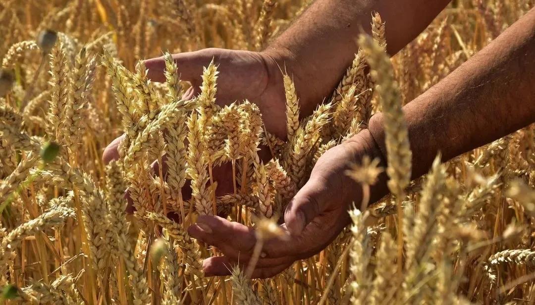 不要小看东北人,不要小看东北的温度