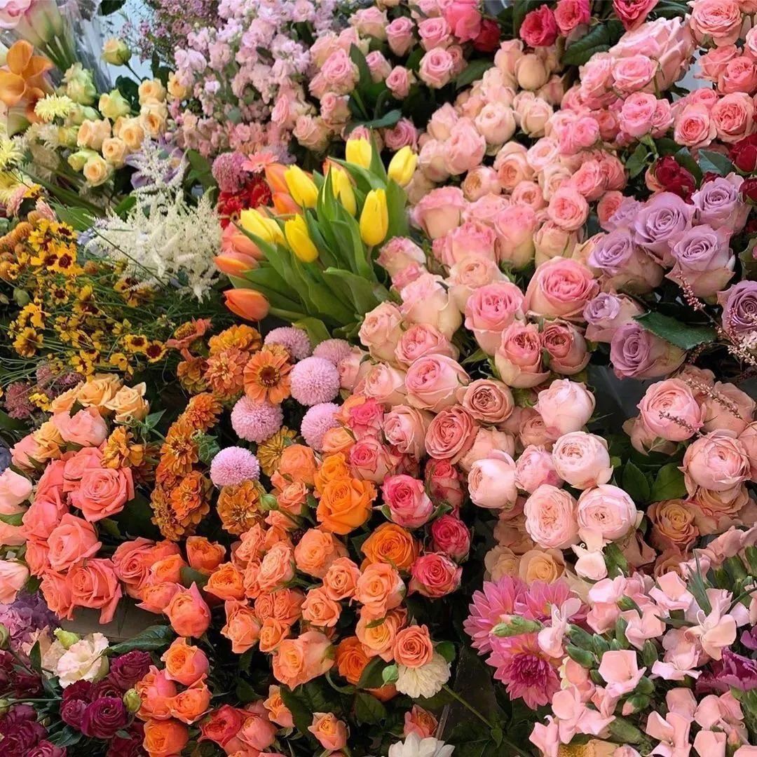 背景图ins风鲜花,ins复古黑色鲜花壁纸