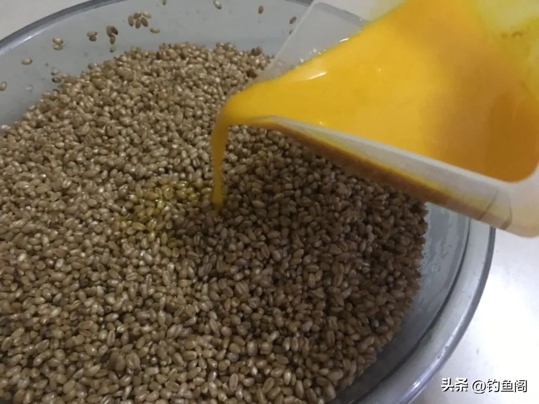 谷麦钓有那么神奇吗,谷麦怎么省力