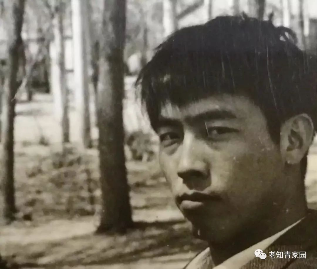 陈凯歌老照片大全集,陈凯歌的知青岁月