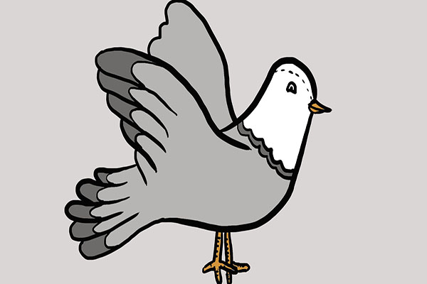 鸽子蛋与鸡蛋区别,鸽子蛋与鸡蛋的区别