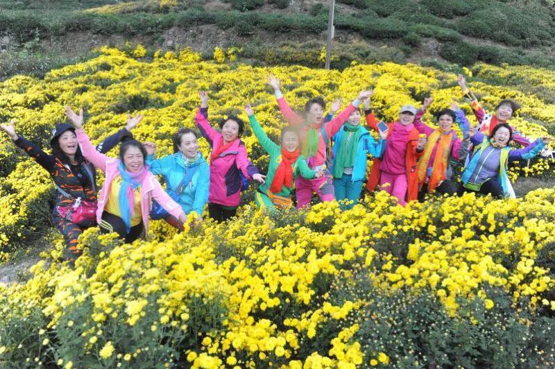 无边光景一时新原版,无边光景一时新知乎后续