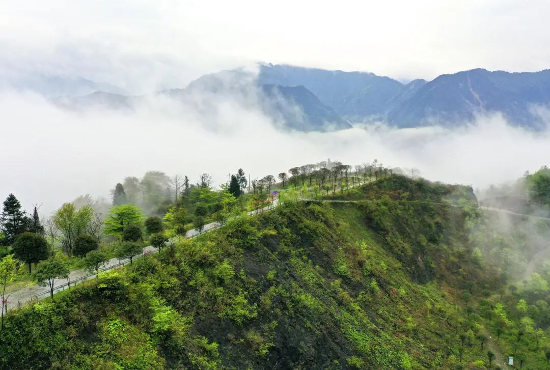 1h直达超好耍露营地！这五处秘密基地出片率100%，带你在星空下篝火旁，拥抱元气秋日大自然~