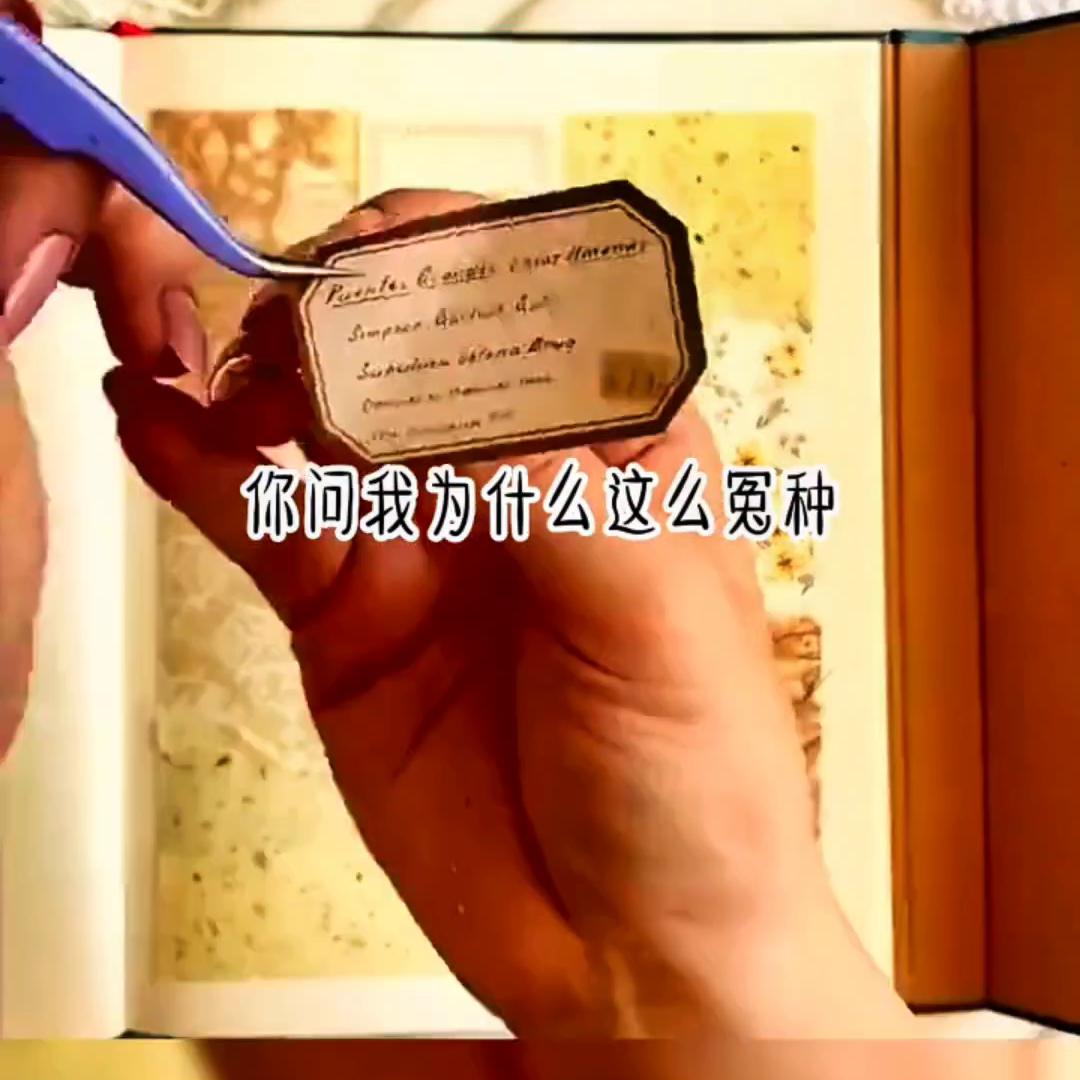 📖铭💗考试专属💗#已完结