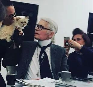 世界上最有钱的猫，坐拥21亿的财富