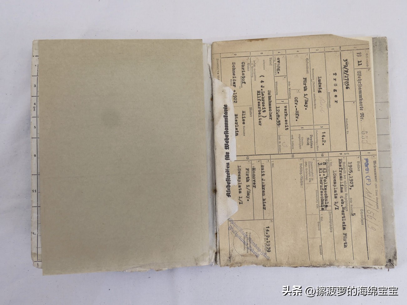 二战时德国军人的肩章,二战德国兵种领章