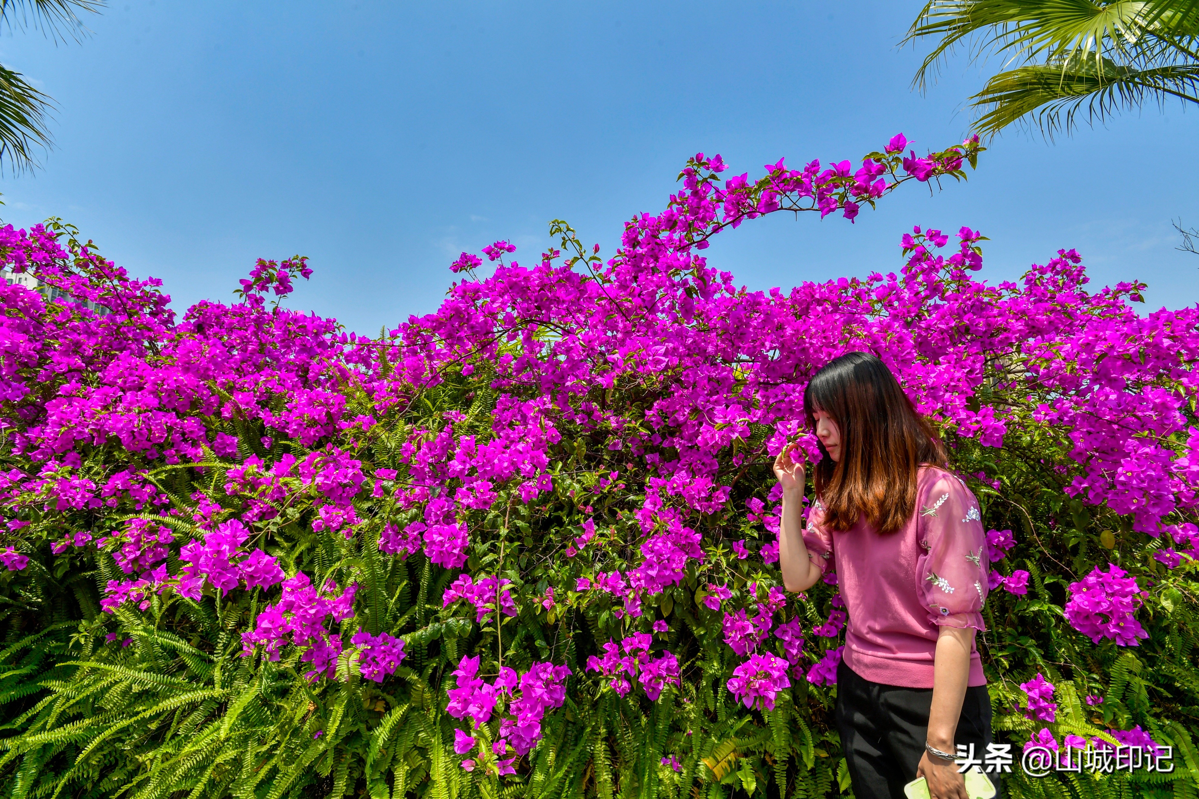 閲嶅簡鍙弬瑙傜殑宸ヤ笟鍥尯,澶編浜嗗揩鏉ラ噸搴嗘墦鍗″惂