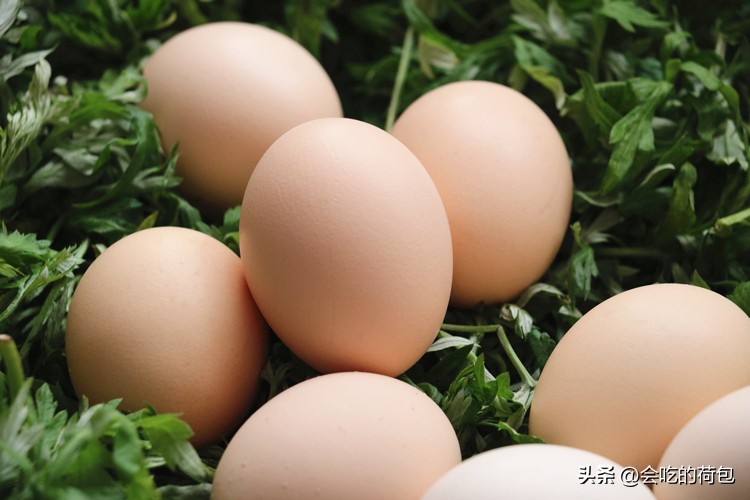 优质蛋白质食物前十名,优质蛋白质食材排行榜前十