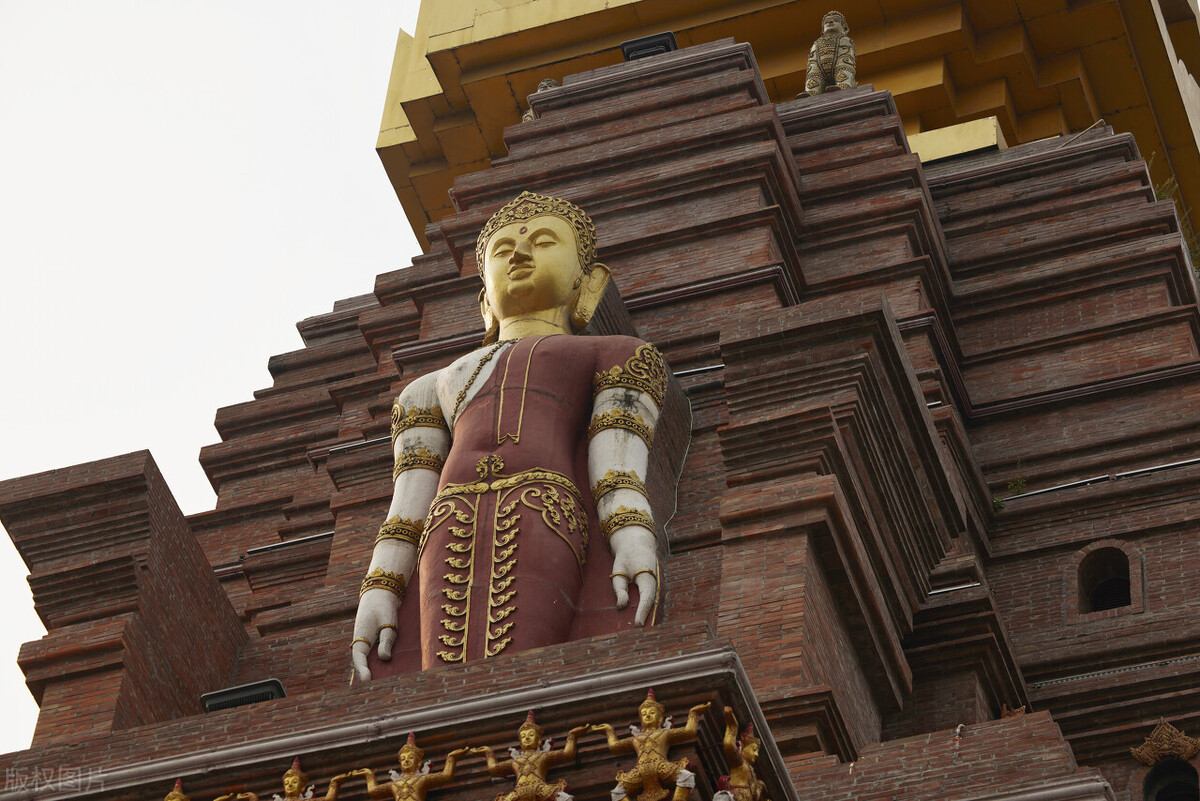 西双版纳望天树景区与热带植物园,西双版纳值得去的四个旅游景点