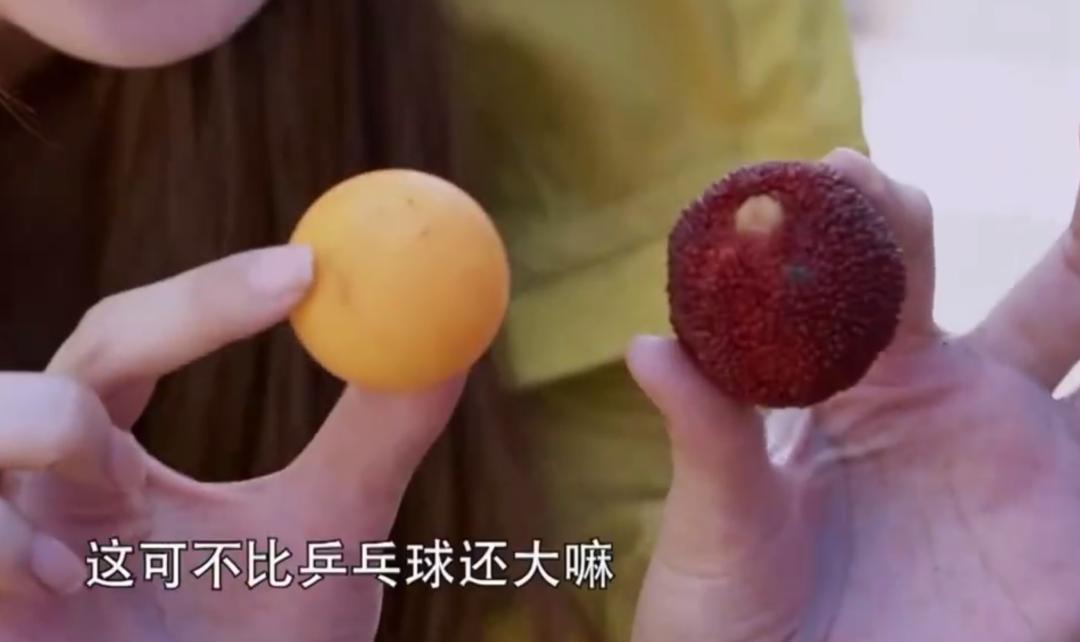 水果中的爱马仕多少钱,高端水果中的爱马仕