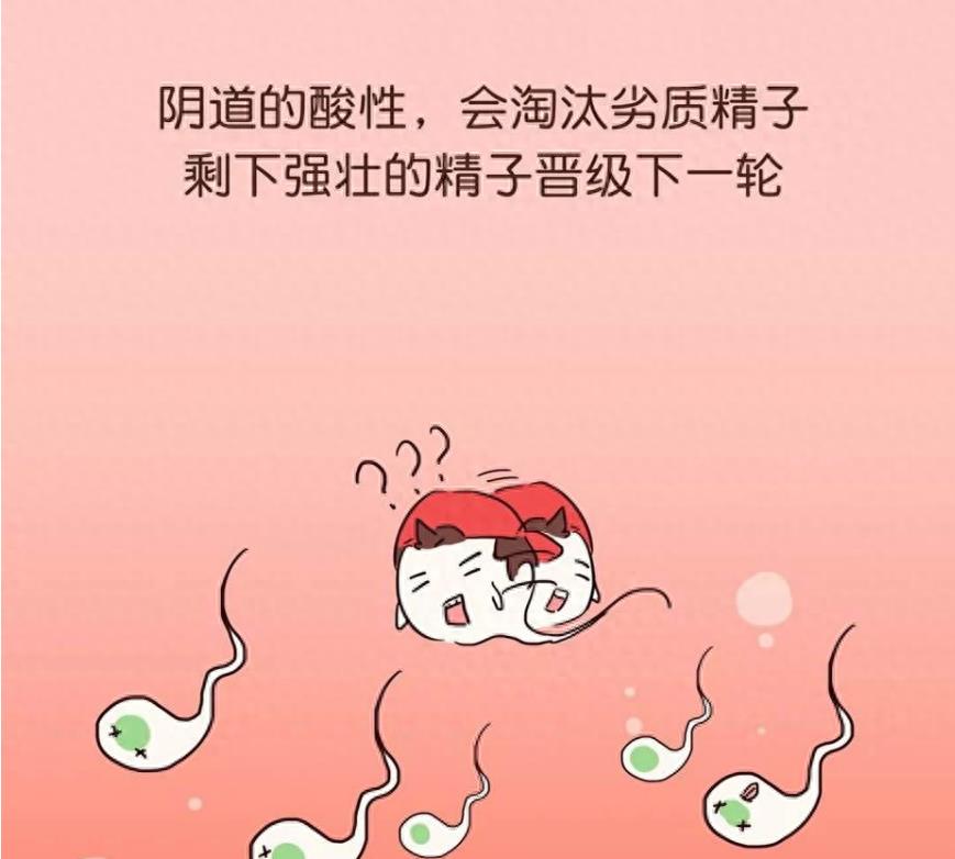 失落的小勇士们,踏上了怀孕之路