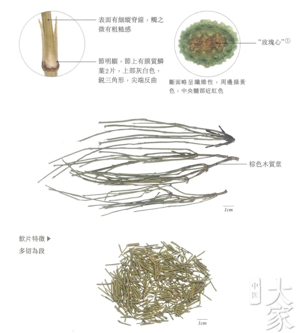 中药麻黄是发汗的吗,麻黄宣肺利水