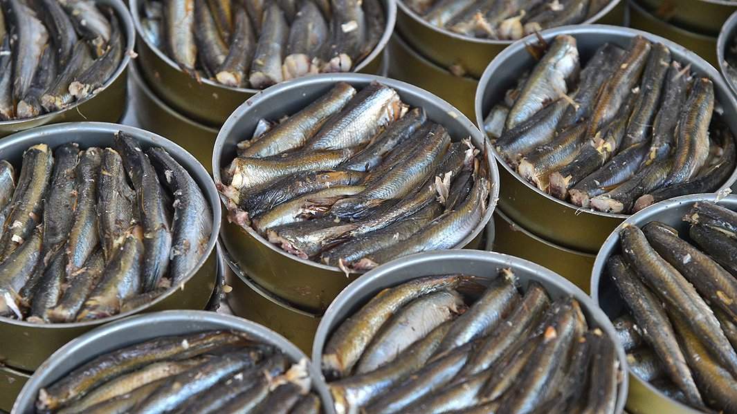 俄罗斯食品面临大量滞销,俄罗斯出现食品短缺了吗