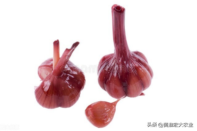 蒜通天下达人连线，关于2022年大蒜市场的一些看法