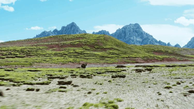 中国人冒死拍的纪录片,一群中国人冒死拍摄