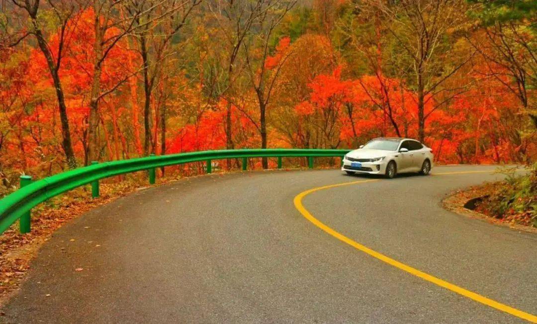 教你正确踩刹车视频,你会正确地踩刹车吗